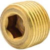 Hex Plug, Br, 5/16" (3/8 NPTM), Bag of 1