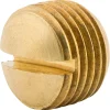 Slotted Plug, 1/8 NPTM, Bag of 1
